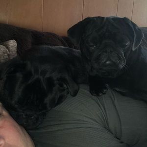 Meet your Posher, Jimmie